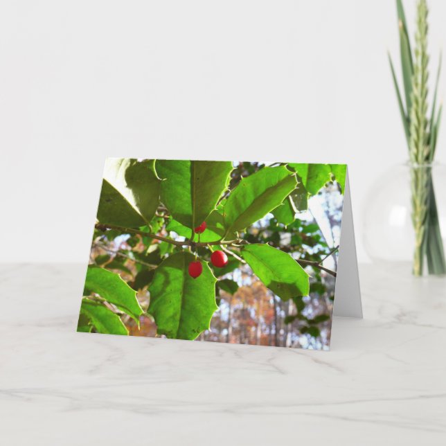 Holly Leaves II Holiday Nature Botanical Card (Front)