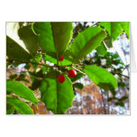 Holly Leaves II Holiday Nature Botanical Card