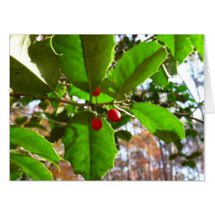 Holly Leaves II Holiday Nature Botanical Card