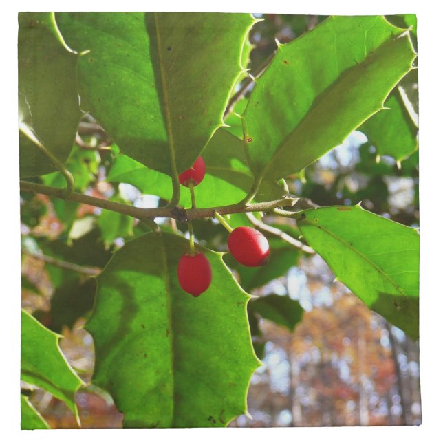 Holly Leaves II Holiday Nature Botanical Cloth Napkin (Front)