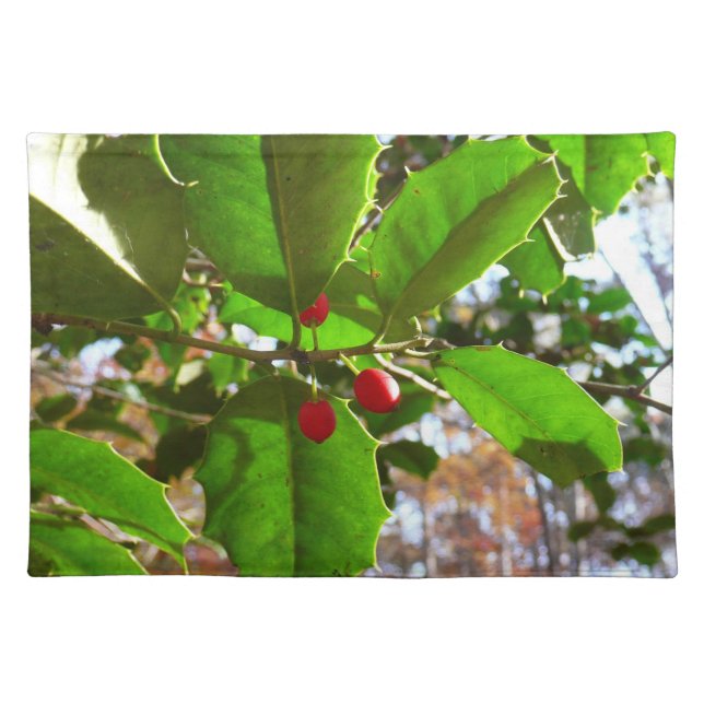Holly Leaves II Holiday Nature Botanical Cloth Placemat (Front)