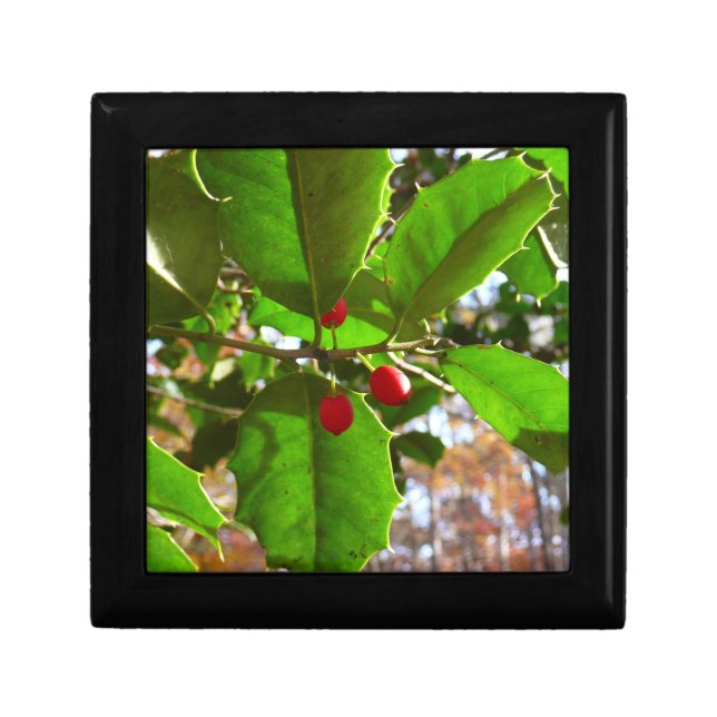 Holly Leaves II Holiday Nature Botanical Gift Box (Front)