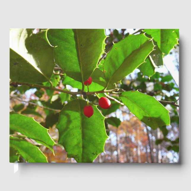 Holly Leaves II Holiday Nature Botanical Guest Book (Front)
