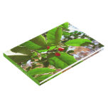 Holly Leaves II Holiday Nature Botanical Guest Book