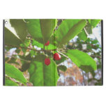 Holly Leaves II Holiday Nature Botanical iPad Pro 12.9" Case