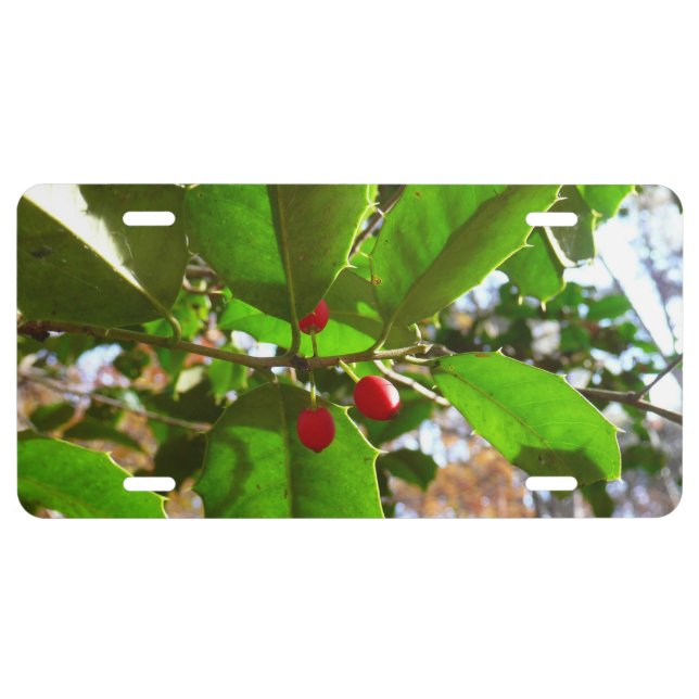Holly Leaves II Holiday Nature Botanical License Plate (Front)