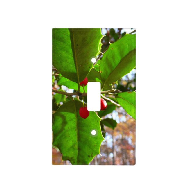 Holly Leaves II Holiday Nature Botanical Light Switch Cover (Front)