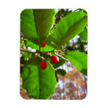 Holly Leaves II Holiday Nature Botanical Magnet