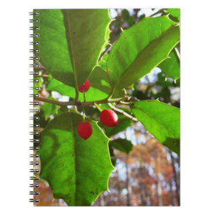 Holly Leaves II Holiday Nature Botanical Notebook
