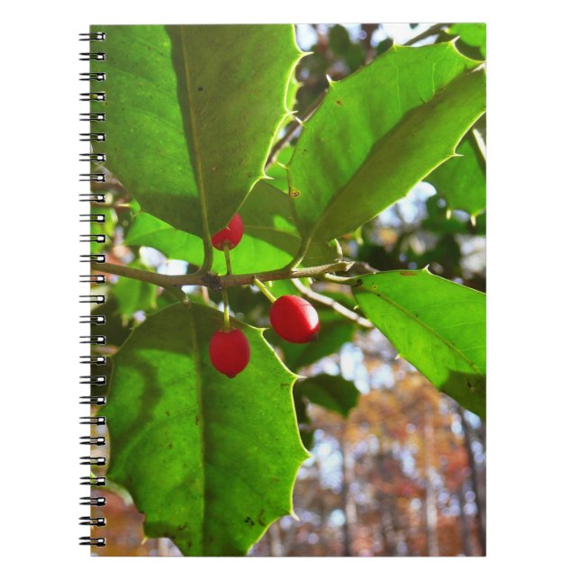 Holly Leaves II Holiday Nature Botanical Notebook (Front)