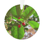 Holly Leaves II Holiday Nature Botanical Ornament
