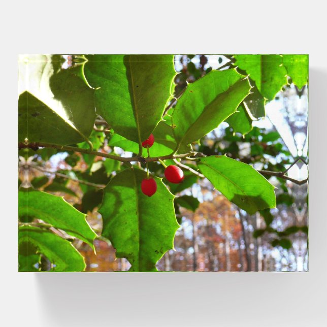 Holly Leaves II Holiday Nature Botanical Paperweight (Front)