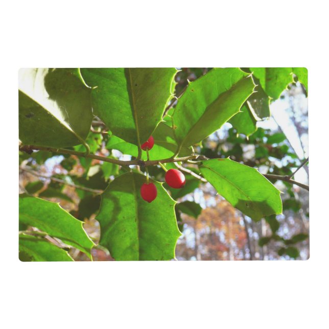 Holly Leaves II Holiday Nature Botanical Placemat (Front)