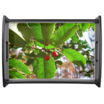 Holly Leaves II Holiday Nature Botanical Serving Tray