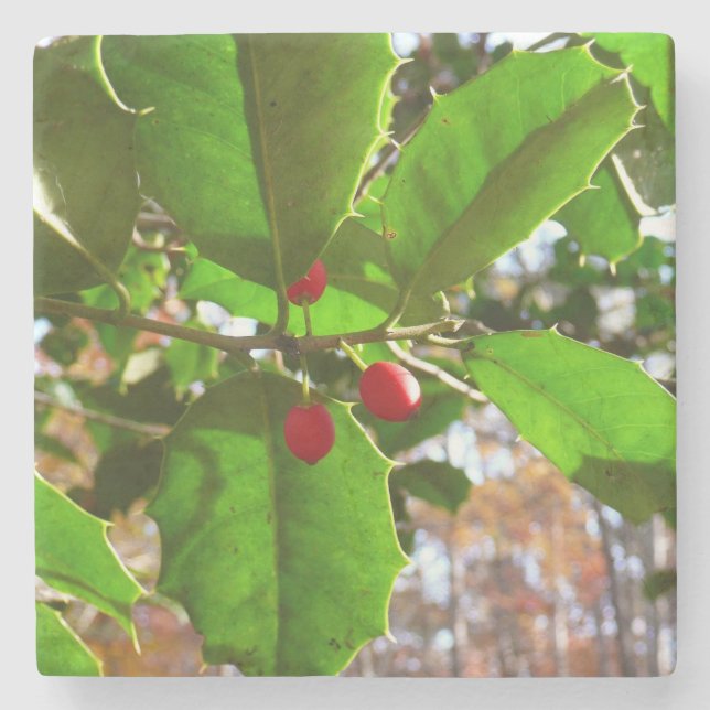Holly Leaves II Holiday Nature Botanical Stone Coaster (Front)