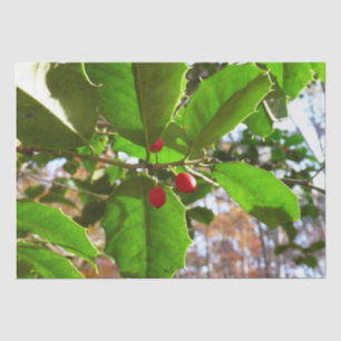 Holly Leaves II Holiday Nature Botanical Tissue Paper