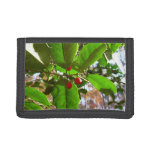 Holly Leaves II Holiday Nature Botanical Tri-fold Wallet