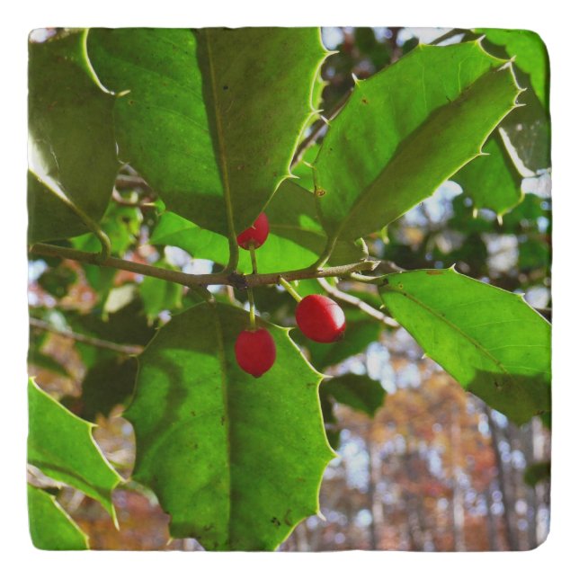 Holly Leaves II Holiday Nature Botanical Trivet (Front)