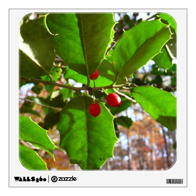 Holly Leaves II Holiday Nature Botanical Wall Decal (Front)