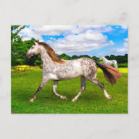 "Holly On The Move" Postcard