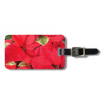 Holly Point Poinsettias Christmas Holiday Floral Luggage Tag