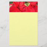 Holly Point Poinsettias Christmas Holiday Floral Stationery