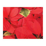 Holly Point Poinsettias Christmas Holiday Floral Wood Wall Decor