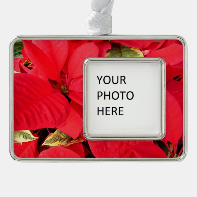 Holly Point Poinsettias Holiday Floral Christmas Ornament (Front)