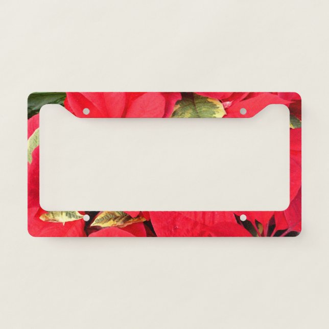 Holly Point Poinsettias Holiday Floral License Plate Frame (Front)