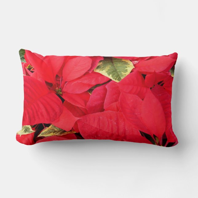 Holly Point Poinsettias Holiday Floral Lumbar Pillow (Front)