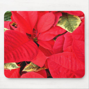 Holly Point Poinsettias Holiday Floral Mouse Pad