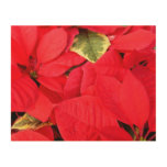Holly Point Poinsettias Holiday Floral Wood Wall Decor