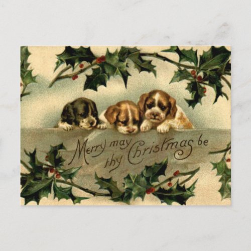 Holly Puppies Postcard