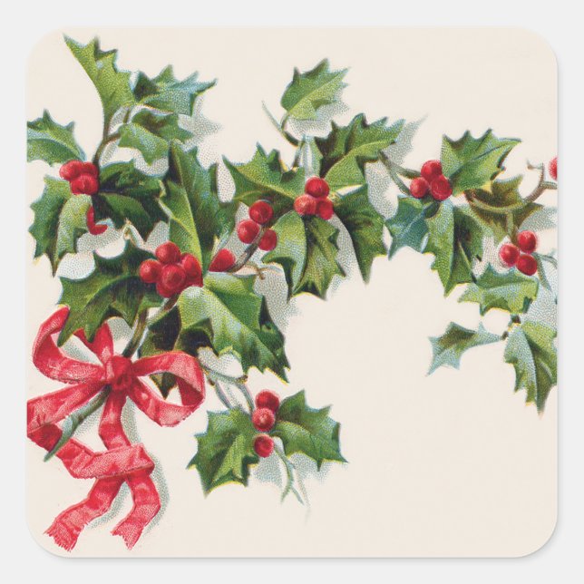 Holly Winterberry Red Ribbon Square Sticker (Front)
