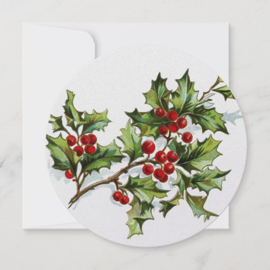 HollyBerries20150801 (Front)