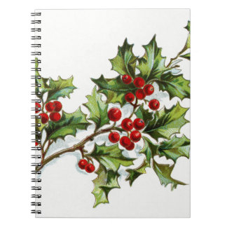 HollyBerries20150801 Notebook