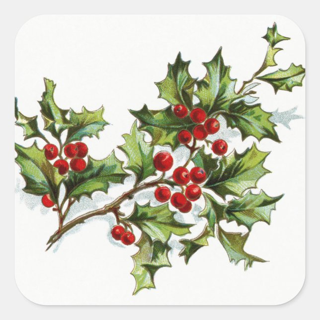 HollyBerries20150801 Square Sticker (Front)