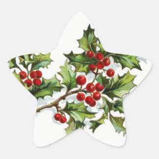 HollyBerries20150801 Star Sticker