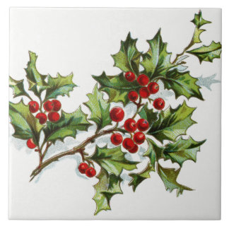 HollyBerries20150801 Tile