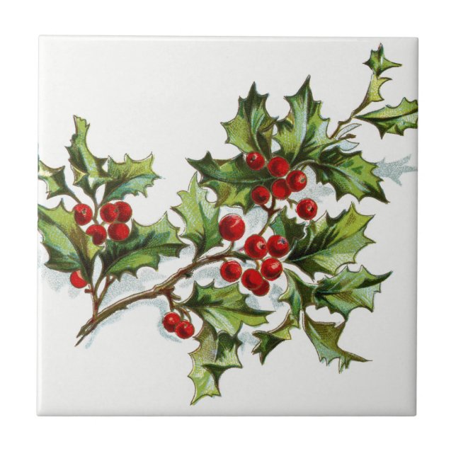 HollyBerries20150801 Tile (Front)