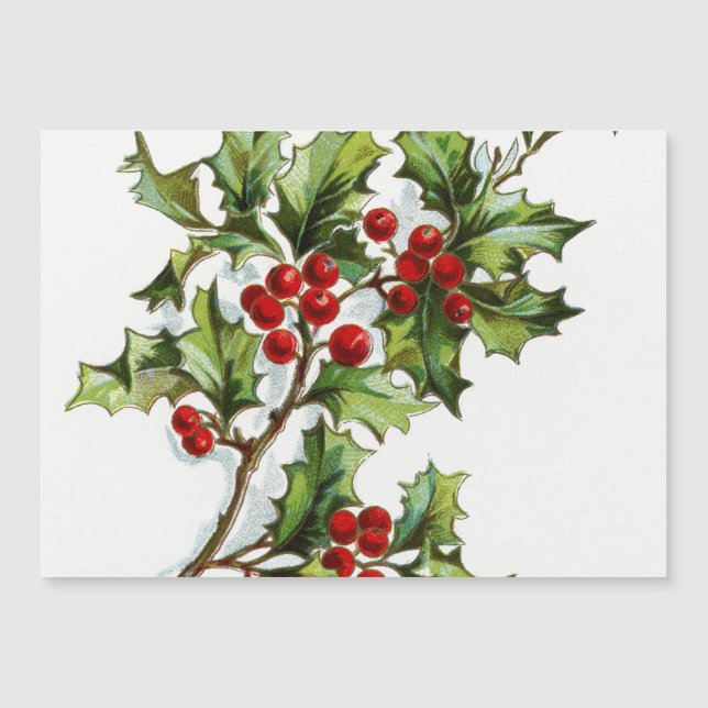 HollyBerries20150802 (Front)