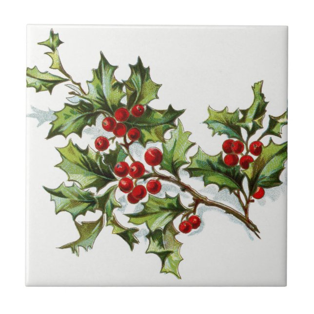 HollyBerries20150802 Tile (Front)
