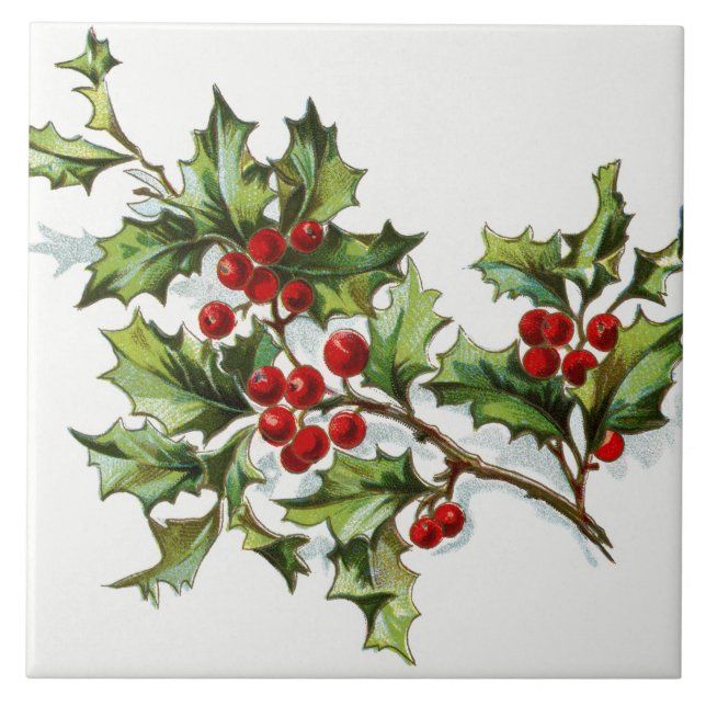 HollyBerries20150802 Tile (Front)