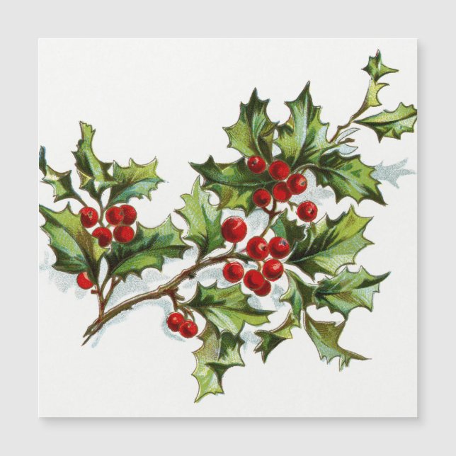 HollyBerries 001 (Front)