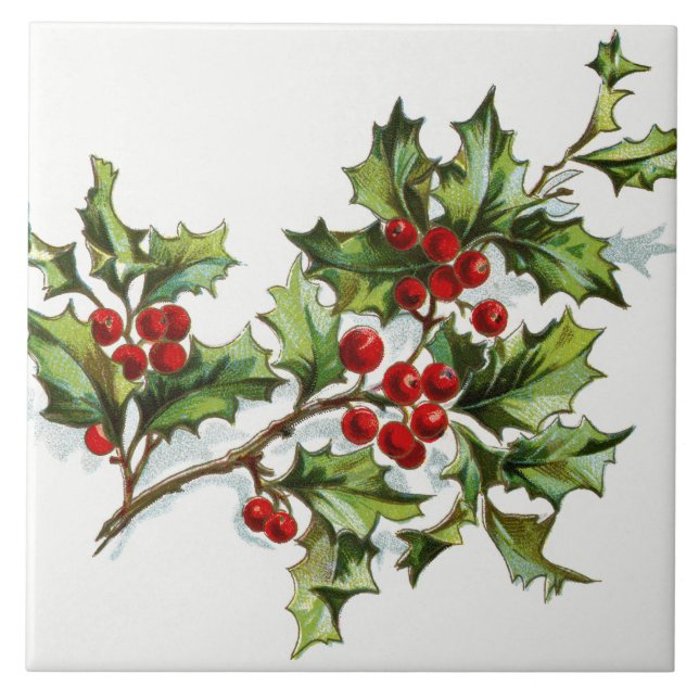 HollyBerries 001 Ceramic Tile (Front)
