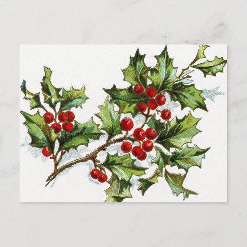 HollyBerries 001 Postcard