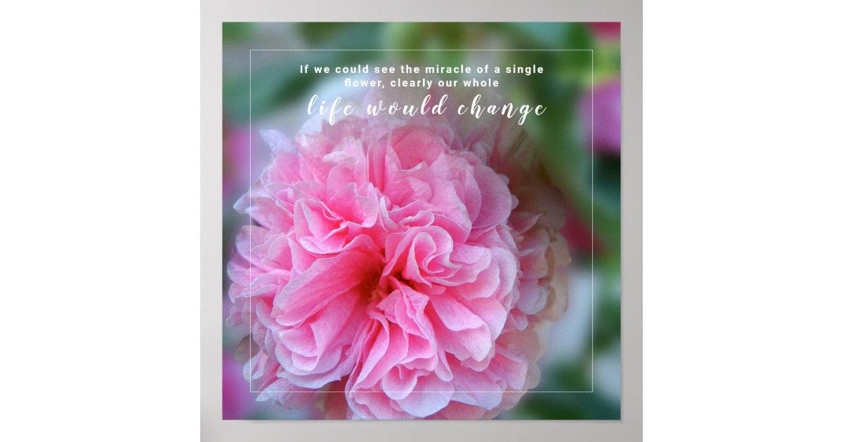 Hollyhock Pink Flower Photo Quote Poster | Zazzle