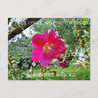 Hollyhock Postcard