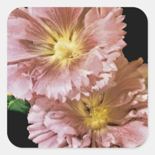Hollyhock Vintage Seed Packet Square Sticker