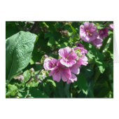 Hollyhocks - Blank Card (Front Horizontal)